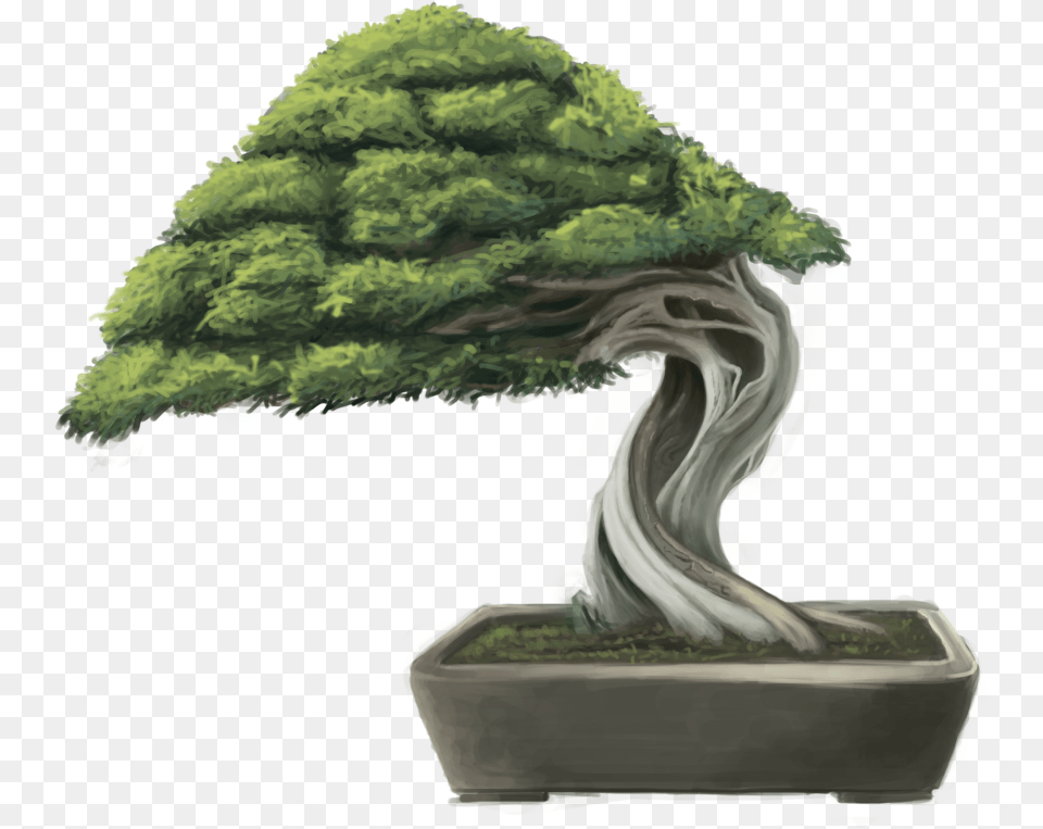 Black And White Download Bonsai Tree By Minums Bonsai Tree Digital Painting, Plant, Potted Plant Png Image