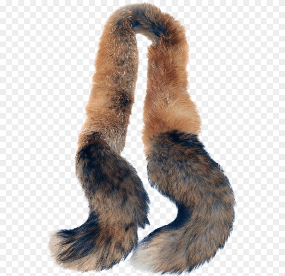 Black And White Download S Red Fox Tail Wrap Stole Fur Scarf Background, Clothing, Animal, Bird, Mammal Free Transparent Png