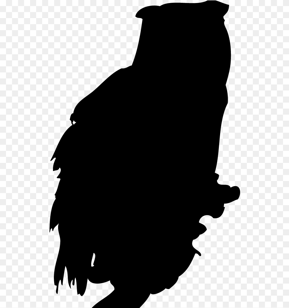 Black And White Eastern Screech Owl, Silhouette, Animal, Bird, Vulture Free Transparent Png