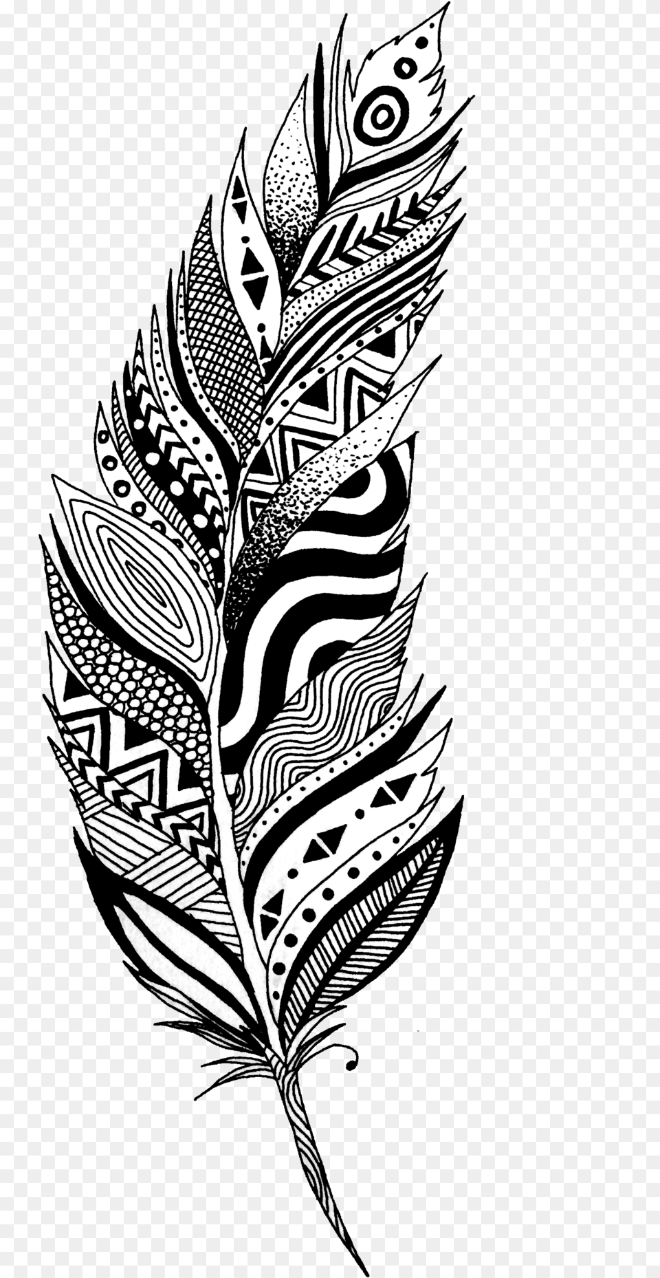 Black And White Feather, Art, Graphics, Floral Design, Pattern Free Transparent Png