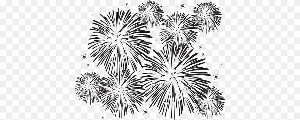 Black And White Fireworks Fireworks With White Background, Plant, Art, Drawing Png Image