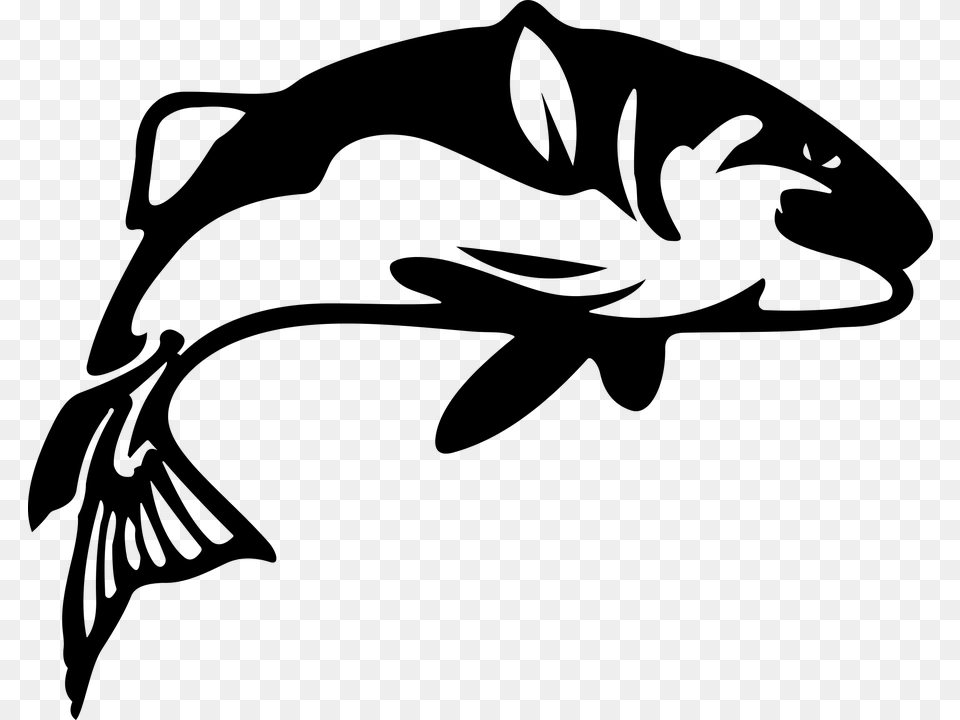 Black And White Fish Pictures Gallery, Gray Png Image