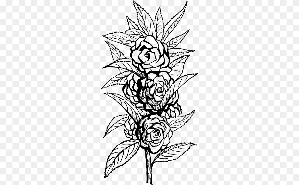 Black And White Floral Svg Clip Arts 312 X 594 Px, Art, Drawing, Graphics, Floral Design Free Png Download