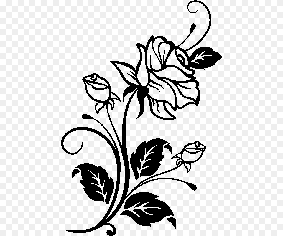 Black And White Flower, Gray Free Png