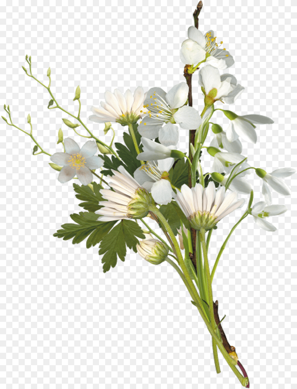 Black And White Flower Bouquet Clipart Graphic Small Flower Bouquet, Flower Arrangement, Flower Bouquet, Plant, Pollen Free Transparent Png