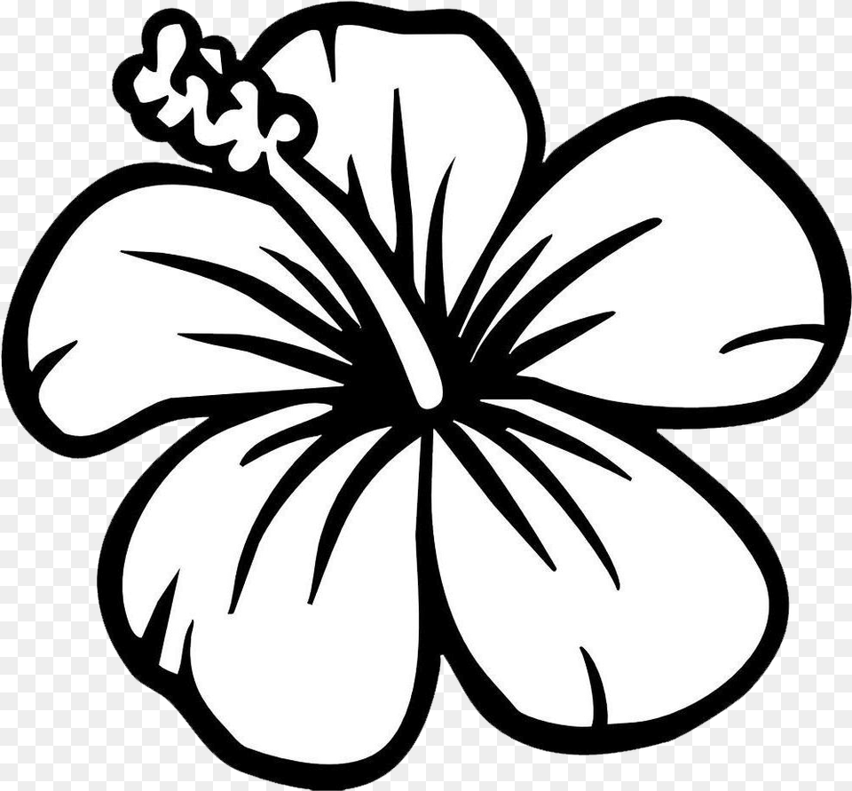 Black And White Flower Clipart Hibiscus Flower Coloring Page, Plant, Person Png Image