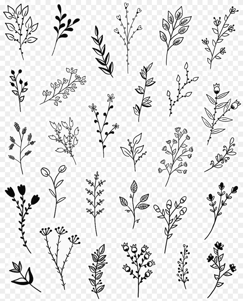 Black And White Flower Doodles, Art, Outdoors, Pattern, Drawing Png