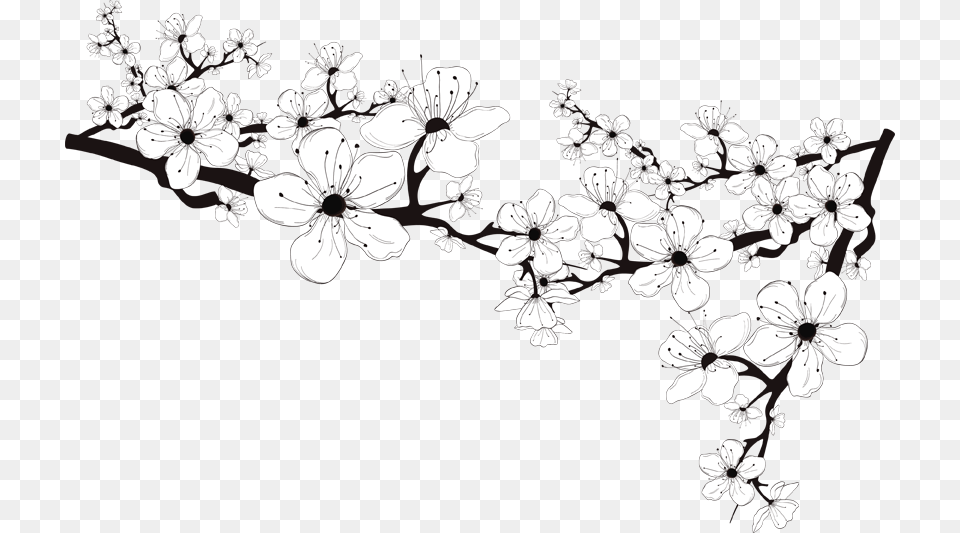 Black And White Flower Download Black And White Blossom, Art, Floral Design, Graphics, Pattern Png Image