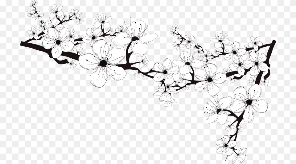 Black And White Flower Black And White Blossom, Plant, Art, Floral Design, Graphics Png Image