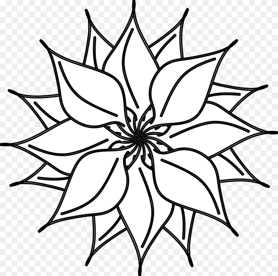 Black And White Flower Line, Art, Floral Design, Graphics, Pattern Free Png
