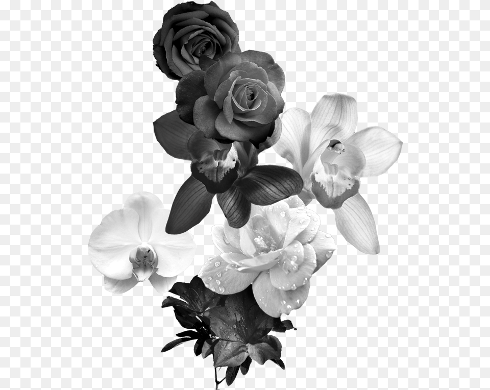 Black And White Flower Monochrome Aesthetic Black Flowers, Flower Arrangement, Flower Bouquet, Petal, Plant Png Image