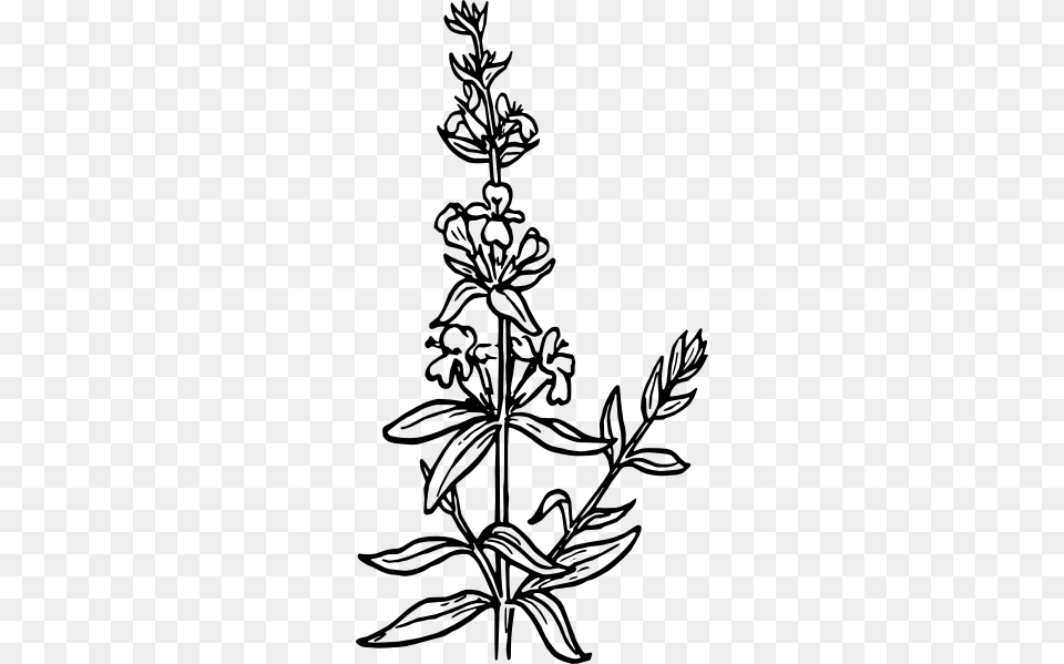 Black And White Flowers Hyssop Drawing, Art, Pattern, Floral Design, Graphics Png Image