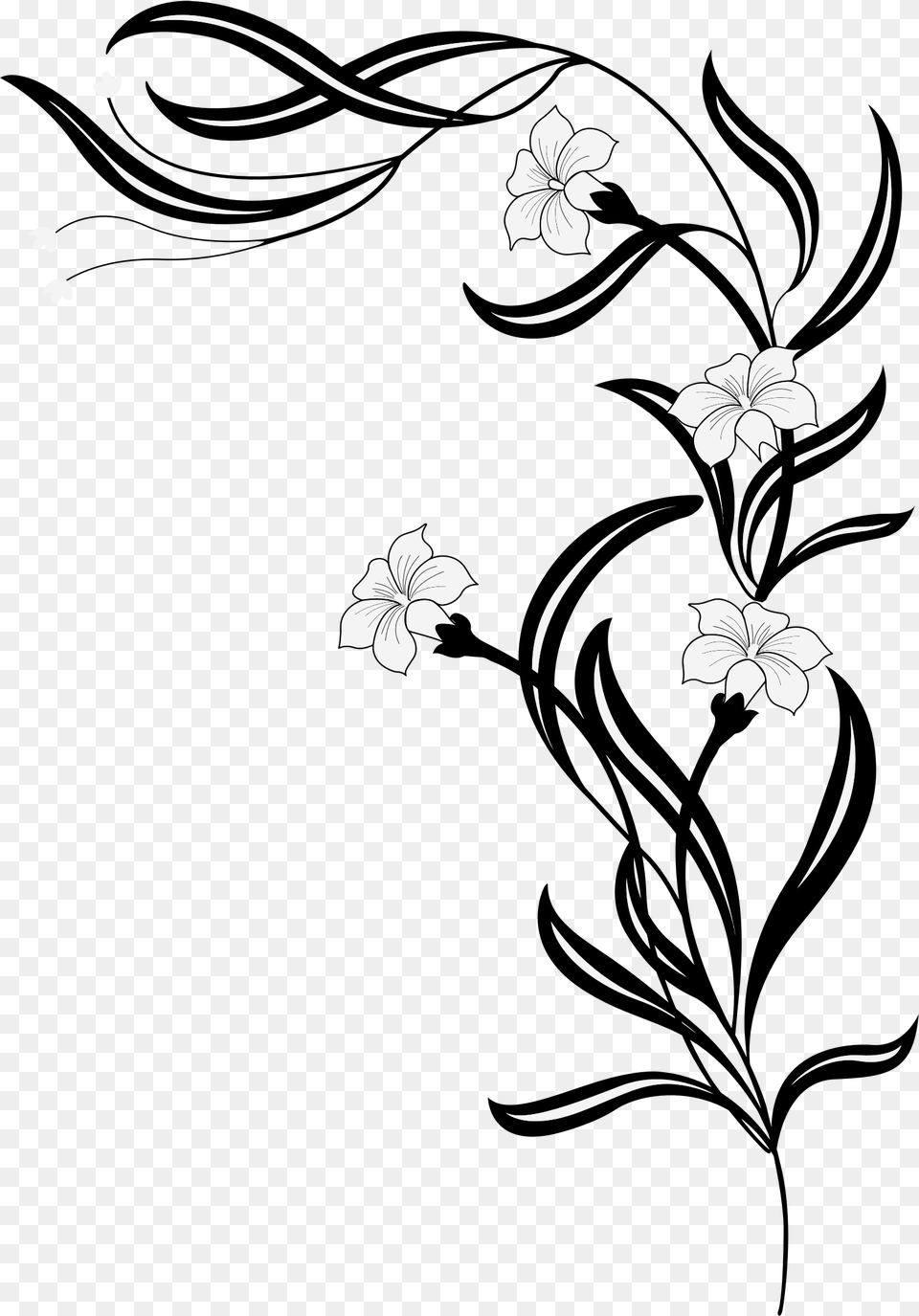 Black And White Flowers Icons, Graphics, Art, Floral Design, Pattern Free Transparent Png