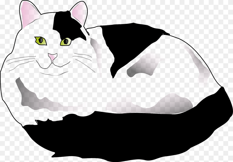 Black And White Fluffy Cat Clipart, Animal, Mammal, Pet, Manx Free Png