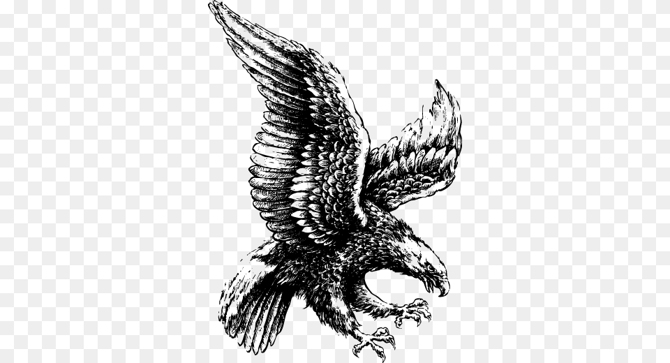 Black And White Flying Eagle Tattoo Design Architecture Concept Sketches Eagle, Animal, Bird, Silhouette, Aircraft Free Png