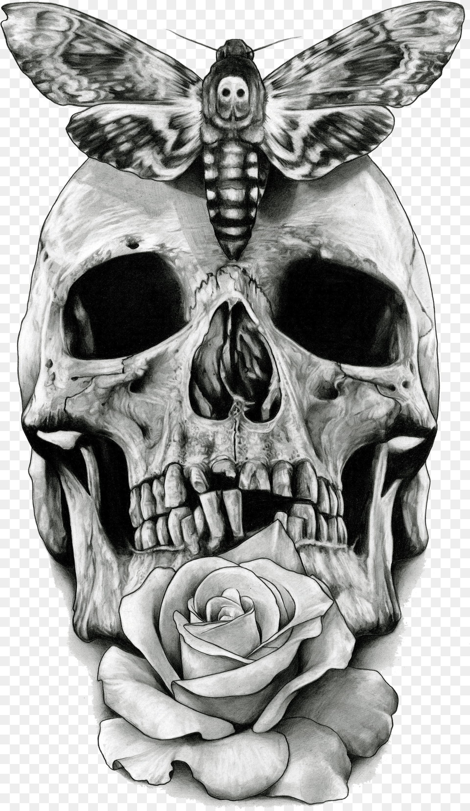 Black And White Hawk Skull, Clothing, Hat, Hardhat, Helmet Free Transparent Png