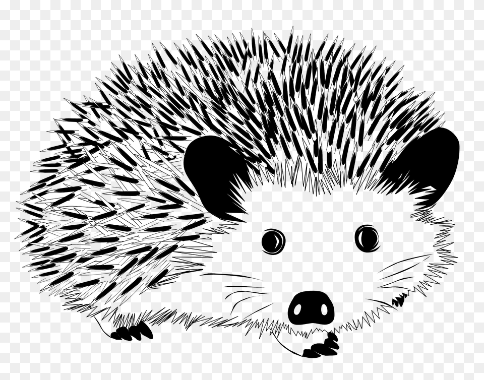 Black And White Hedgehog Clipart, Animal, Mammal, Porcupine, Rodent Png