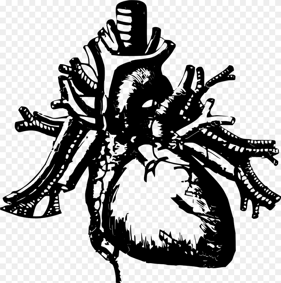 Black And White Human Heart Download, Gray Png Image