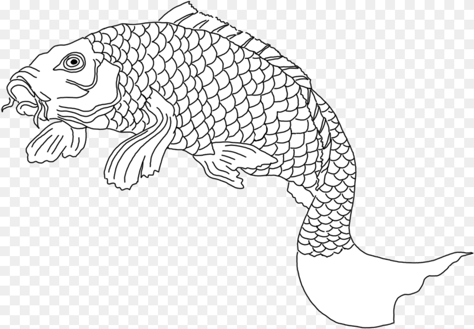 Black And White Illustration, Animal, Reptile, Sea Life, Turtle Free Transparent Png