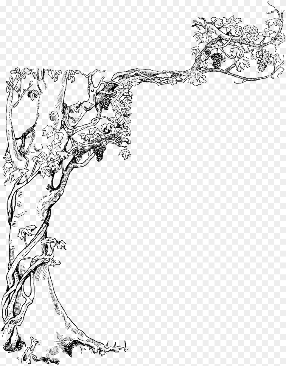 Black And White Illustration Of A Tree With A Grape Honeycomb On Tree Drawing, Art Free Transparent Png