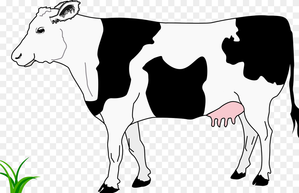 Black And White Of Cow, Animal, Cattle, Dairy Cow, Livestock Png Image
