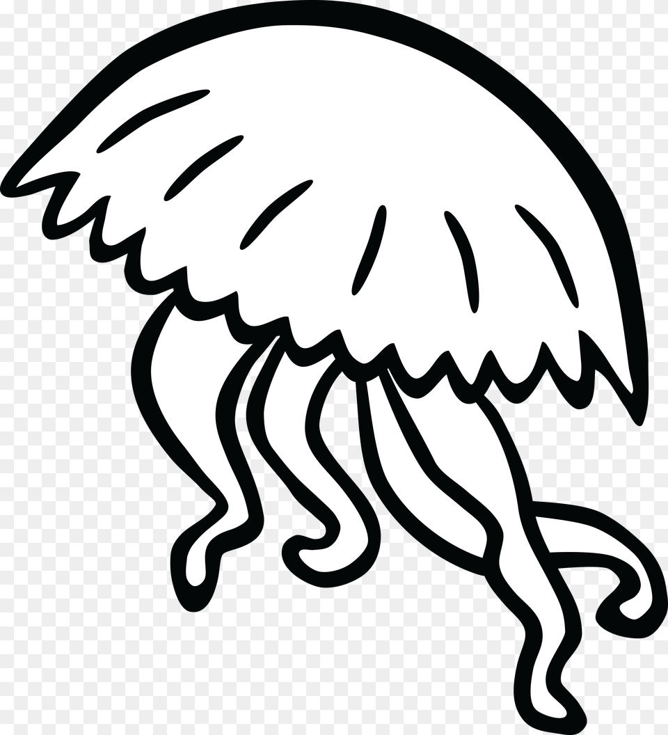Black And White Jellyfish Clip Art, Baby, Person, Animal, Sea Life Free Png Download