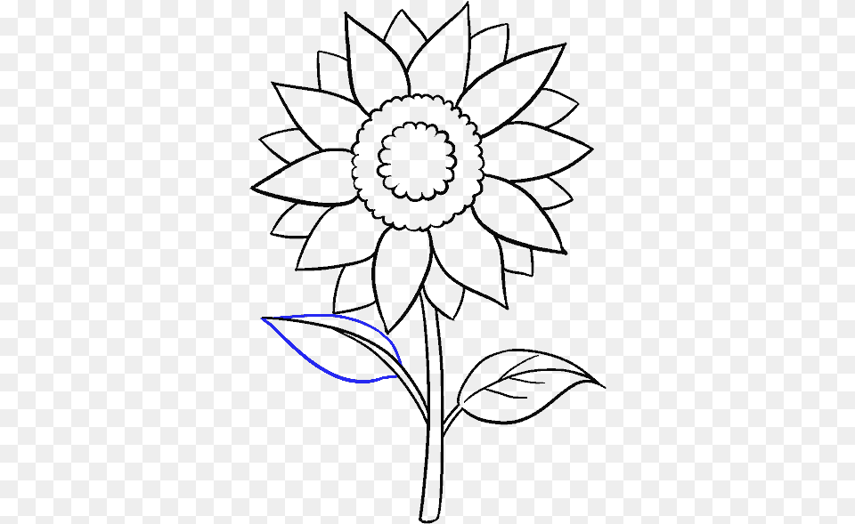 Black And White Library Black And White Sunflower Sun Flower Sketch Png Image