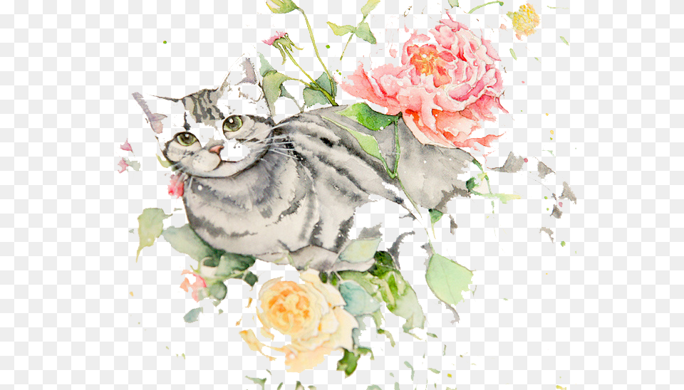 Black And White Library Jazz Drawing Watercolour Cat And Flowers Drawings, Graphics, Art, Pattern, Floral Design Free Transparent Png
