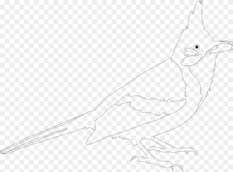 Black And White Line Art Art Bard Drawn Artist Sketch, Gray Free Transparent Png