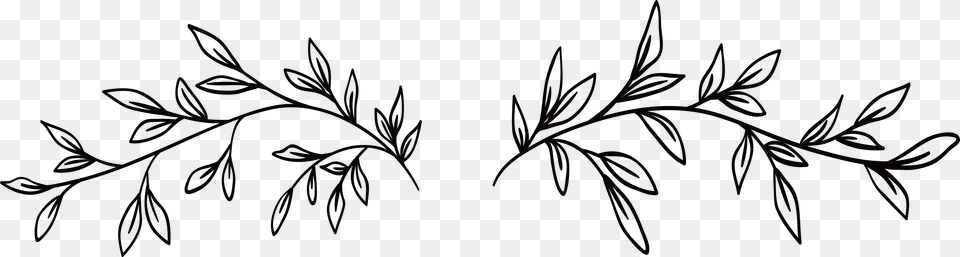 Black And White Line Art Watercolor Painting Flora Black And White Vine Clipart, Floral Design, Graphics, Pattern, Herbal Png Image