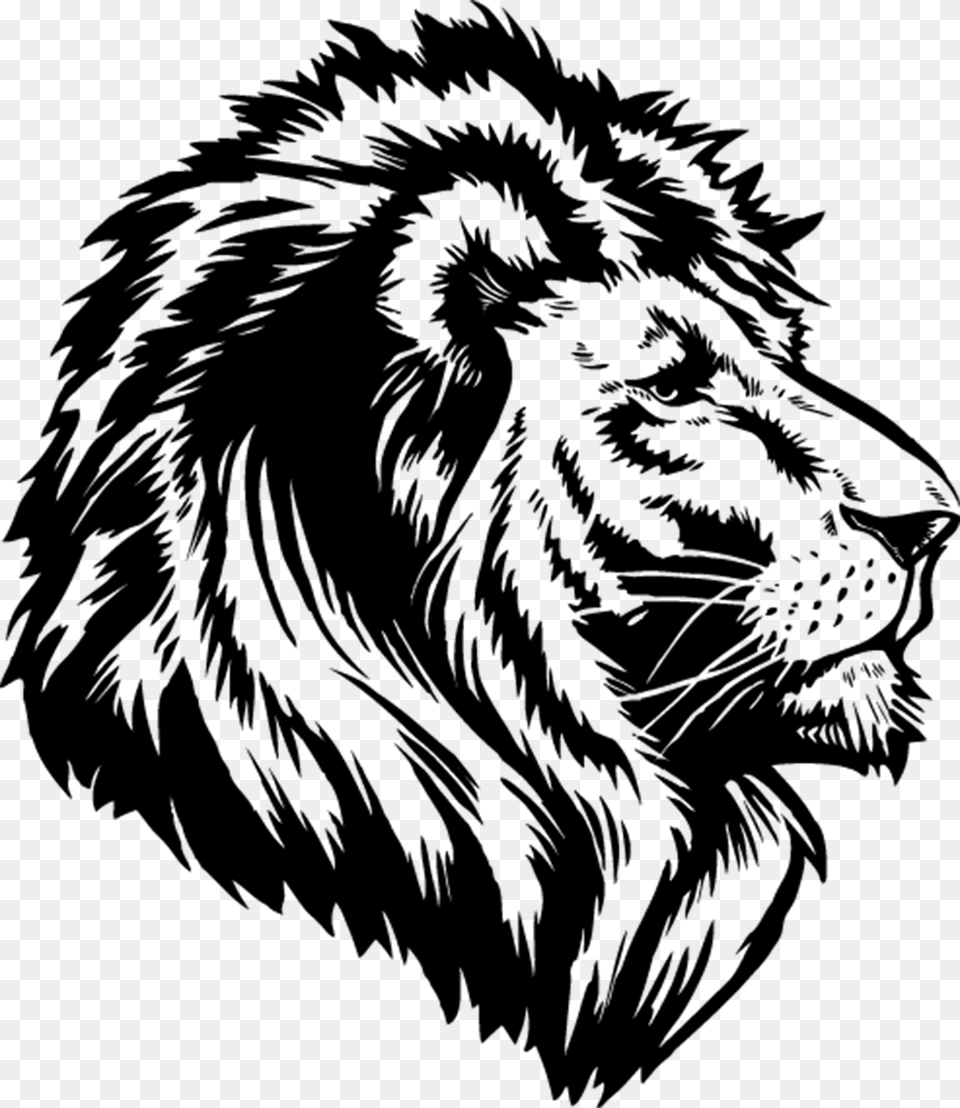 Black And White Lion, Gray Free Transparent Png