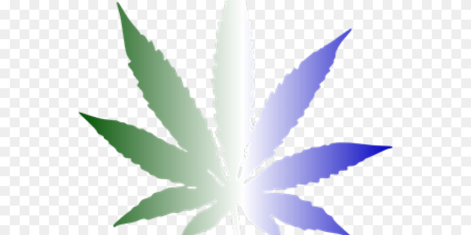 Black And White Marijuana, Leaf, Plant, Weed, Animal Free Png Download