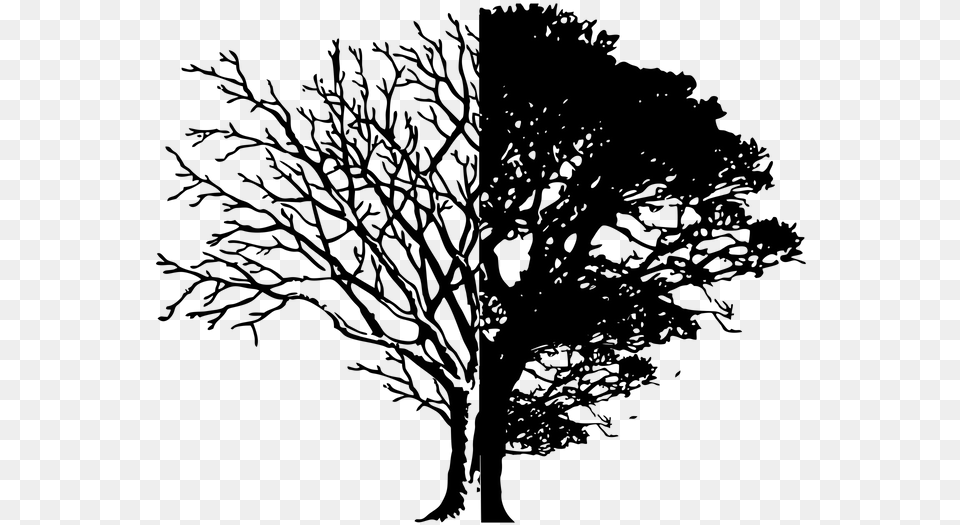 Black And White Minimalist Tree, Gray Free Png Download