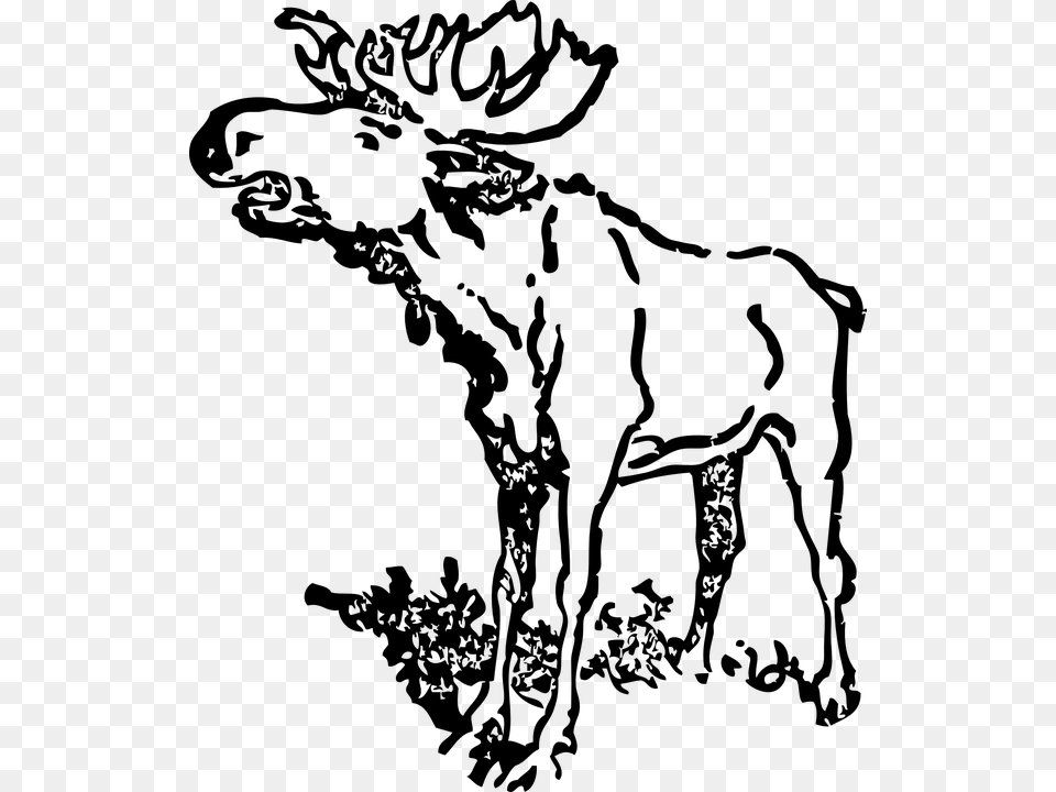 Black And White Moose Clip Art Realistic, Gray Free Png Download