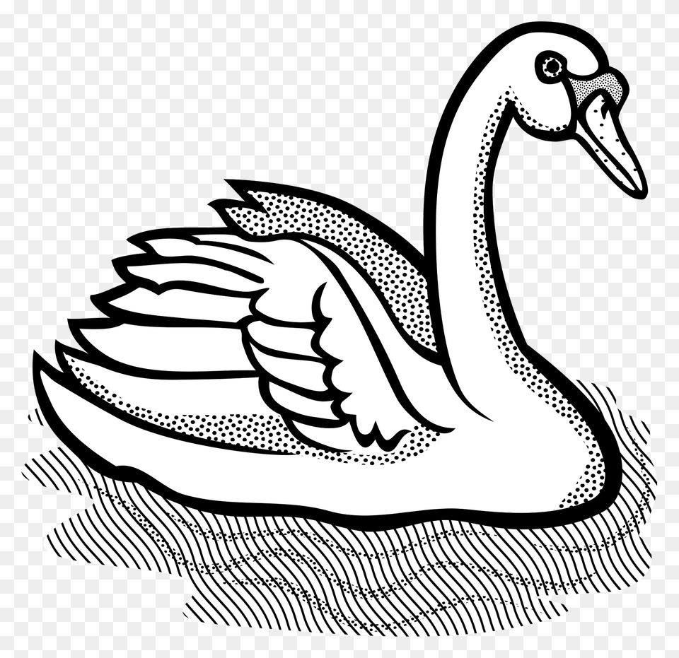 Black And White Mute Swan Clipart, Animal, Anseriformes, Bird, Waterfowl Free Png