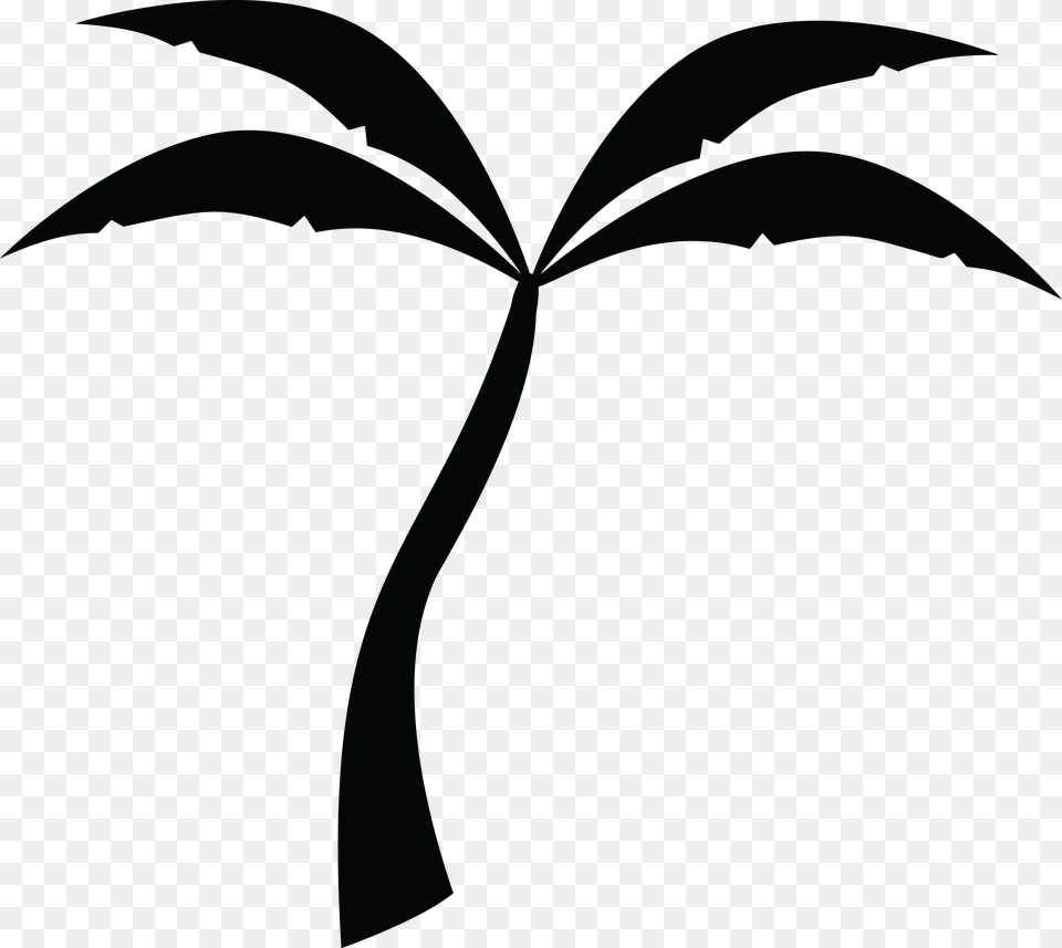 Black And White Palm Tree Line Art, Palm Tree, Plant, Leaf Png