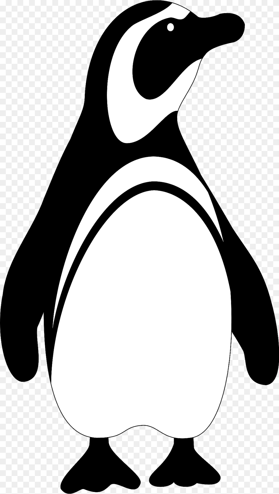 Black And White Penguin Clipart, Animal, Bird, Fish, Sea Life Free Transparent Png