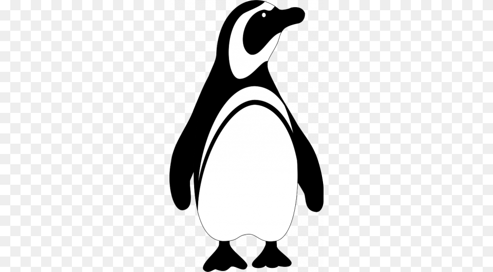 Black And White Penguin Clipart Clip Art Images, Animal, Bird Free Transparent Png