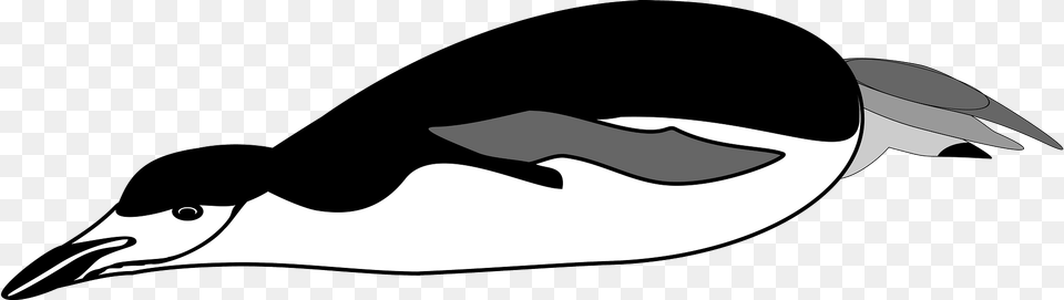 Black And White Penguin Sliding Clipart, Animal, Fish, Sea Life, Shark Png