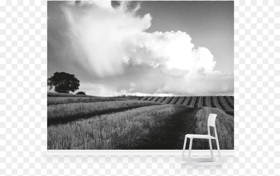 Black And White Photos Large, Chair, Sky, Outdoors, Nature Png