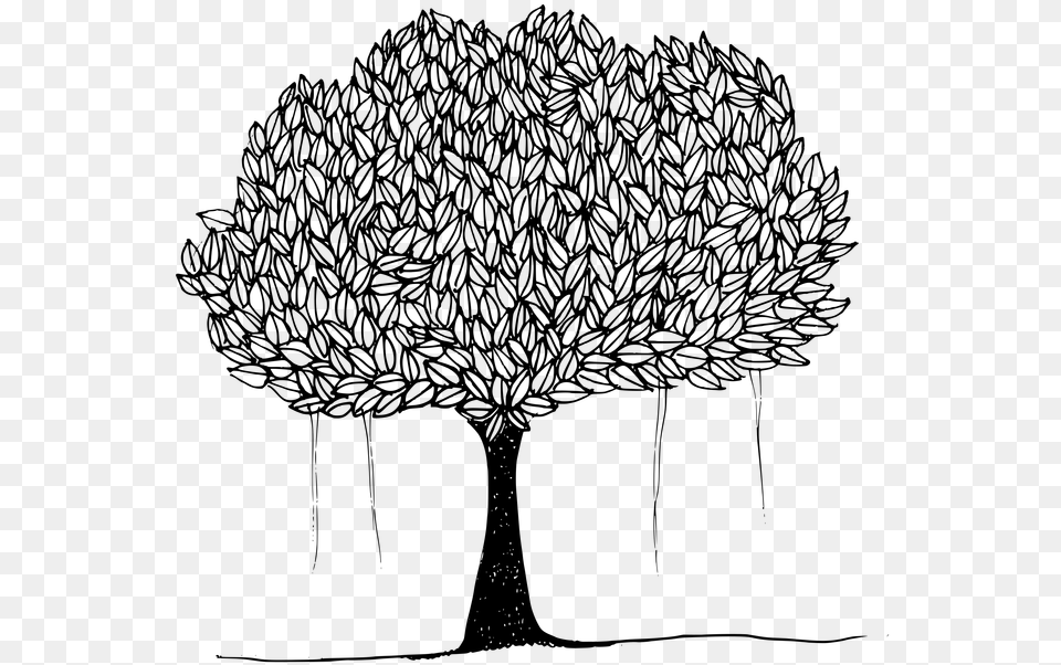 Black And White Picture Of Banyan Tree Drawing Of Peepal Tree, Gray Free Png Download