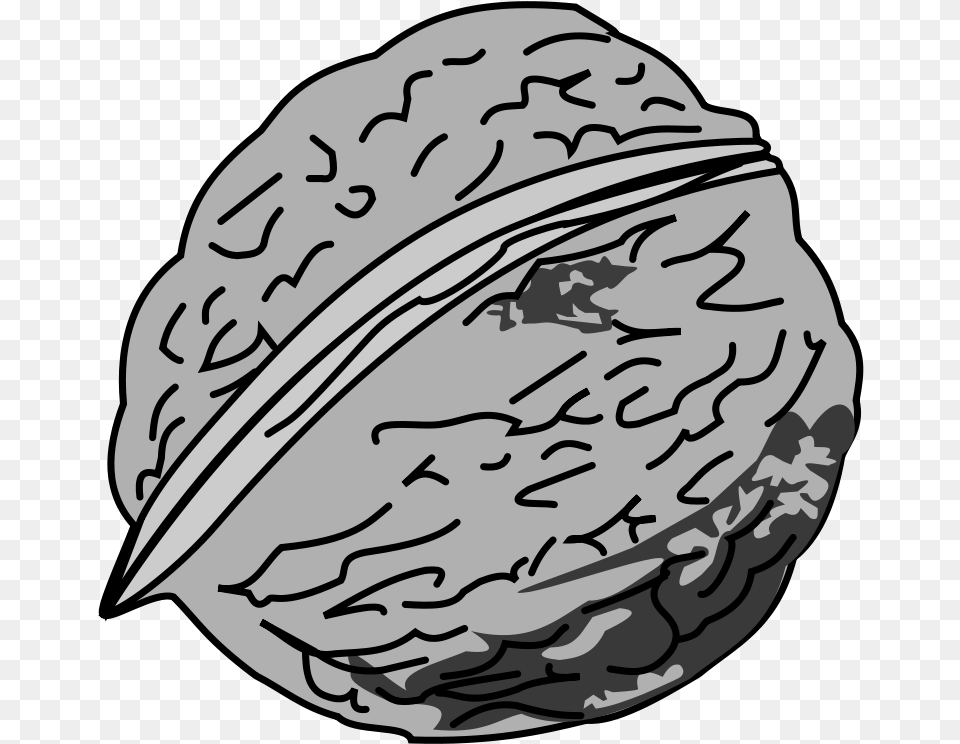 Black And White Picture Of Walnut Nut Black And White, Food, Plant, Produce, Vegetable Png