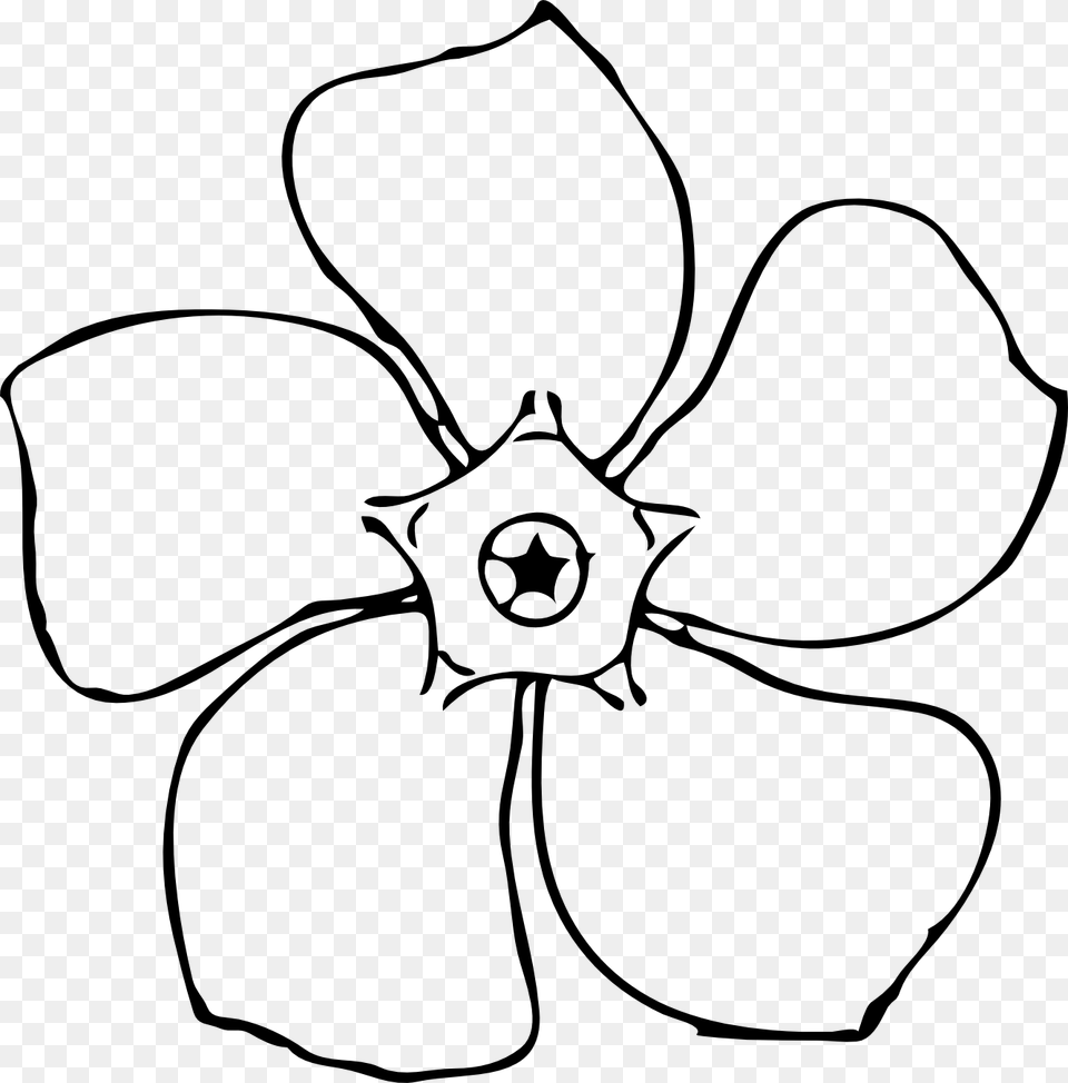 Black And White Pictures Of Flowers To Draw Download Clip, Plant, Petal, Flower, Anemone Png Image