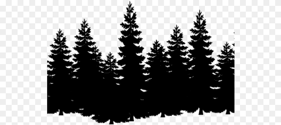 Black And White Pine Trees, Gray Png