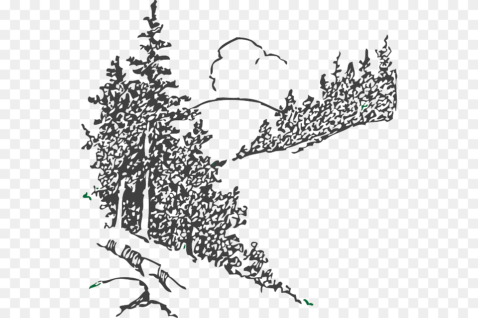 Black And White Pine Trees Clipart, Art, Doodle, Drawing, Plant Free Transparent Png