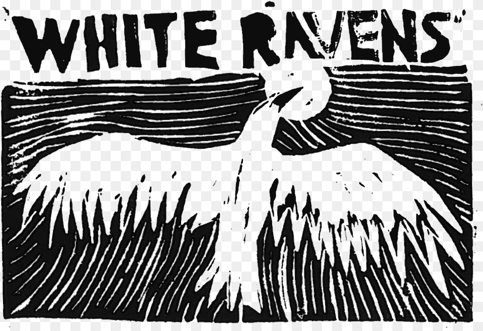 Black And White Ravens Logo Logodix Pelican, Animal, Bird, Cormorant, Waterfowl Free Png