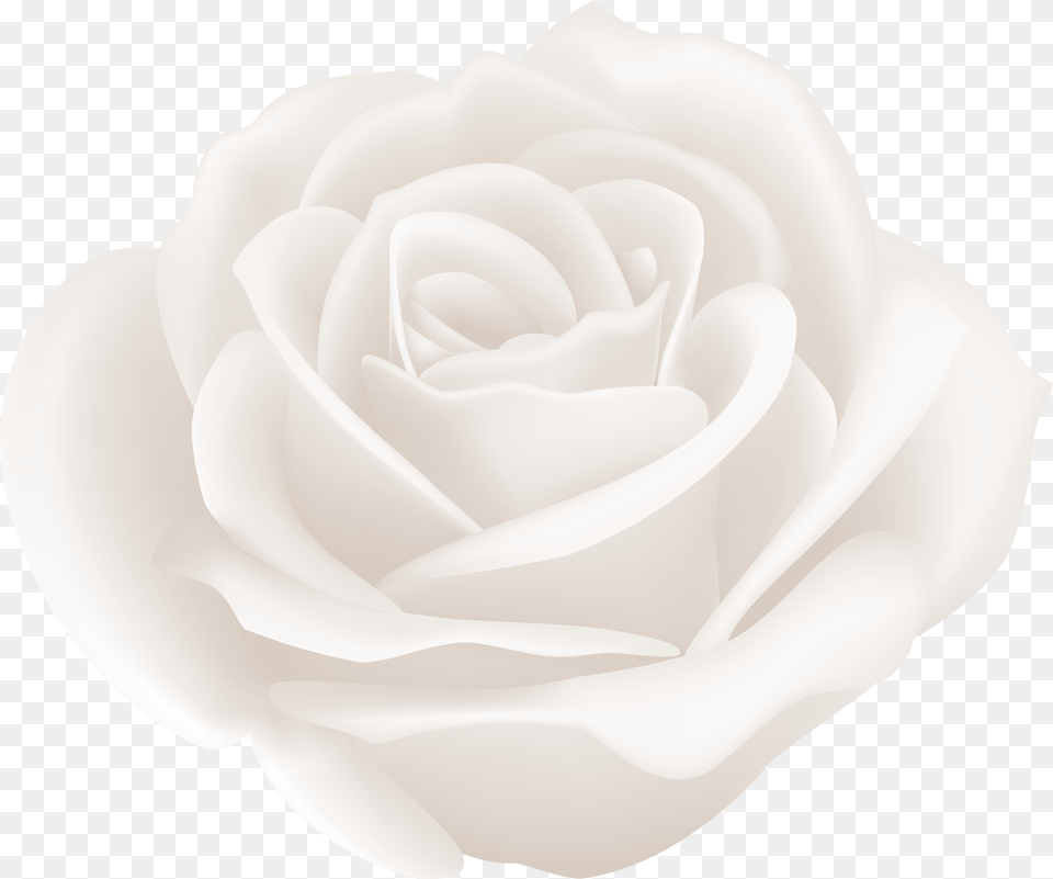 Black And White Rose, Flower, Plant, Petal Free Transparent Png