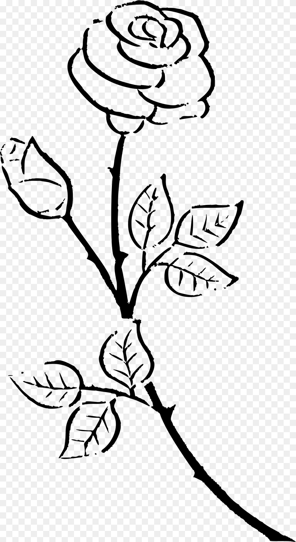 Black And White Rose Drawing, Gray Free Png