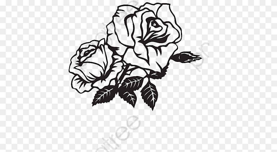 Black And White Roses Rose Black And White, Art, Drawing, Leaf, Plant Free Transparent Png