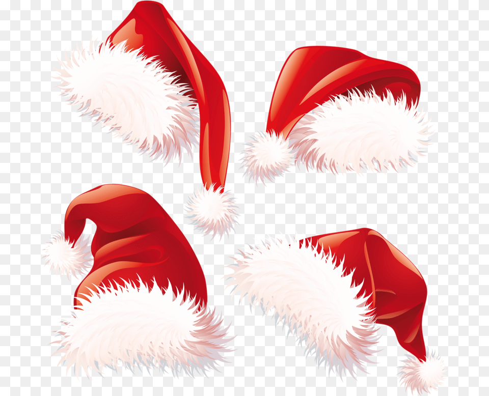Black And White Santa Hat Clip Art Black And White Santa Hat Clipart Transparent Background Accessories, Graphics, Animal, Bird Free Png Download